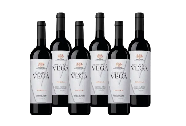 6er Ermita de la Vega Especial 2019 