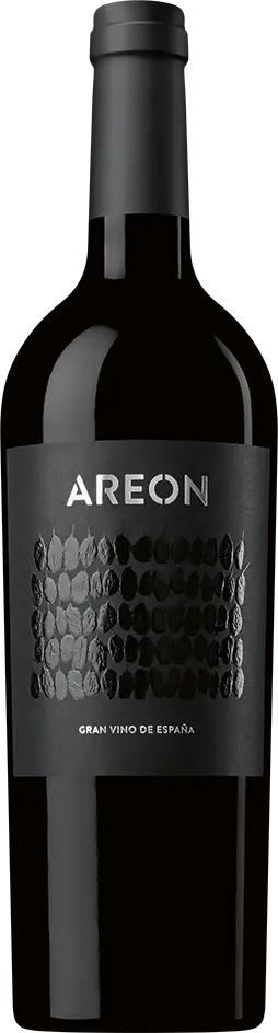 Areon 2019