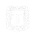 Tinazzi-Logo-Weiss.webp