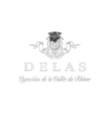 Delas-Logo-Weiss.webp